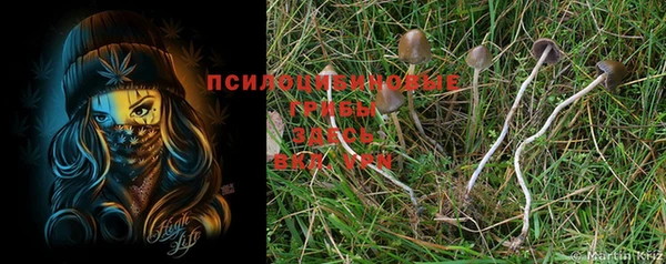 хмурый Наволоки
